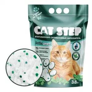 CAT STEP Arctic Fresh Mint
