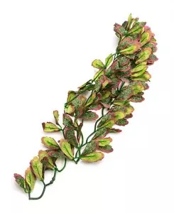 Искусственное растение REPTI-ZOO Var marginatum