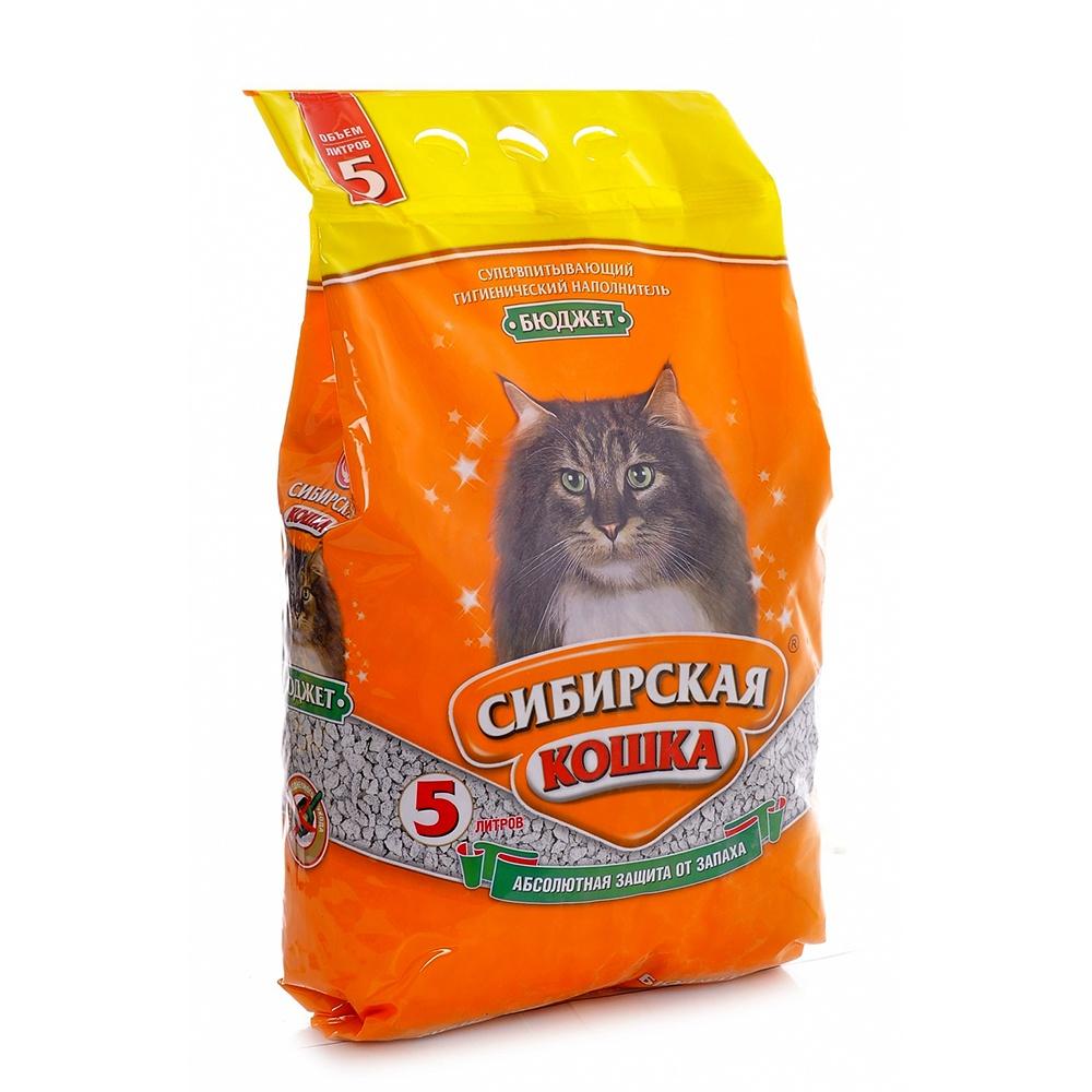 Сибирская кошка БЮДЖЕТ