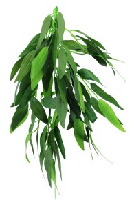 Искусственное растение REPTI-ZOO Heternanthera zosterifolia