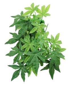 Искусственное растение REPTI-ZOO Iha leaves