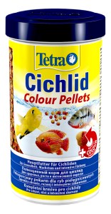 Tetra Cichlid Colour