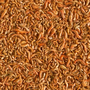 Tetra Pond Shrimp Mix