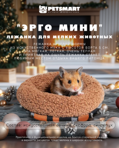 hamster